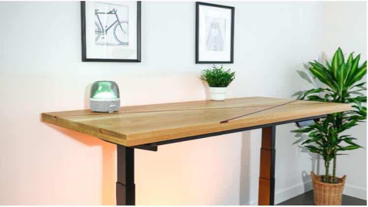 Standing Desks and Weight Loss Separating Fact from Fiction