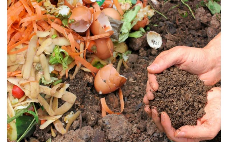 10 Ways to Reduce Your Carbon Footprint with Everyday Choiceses