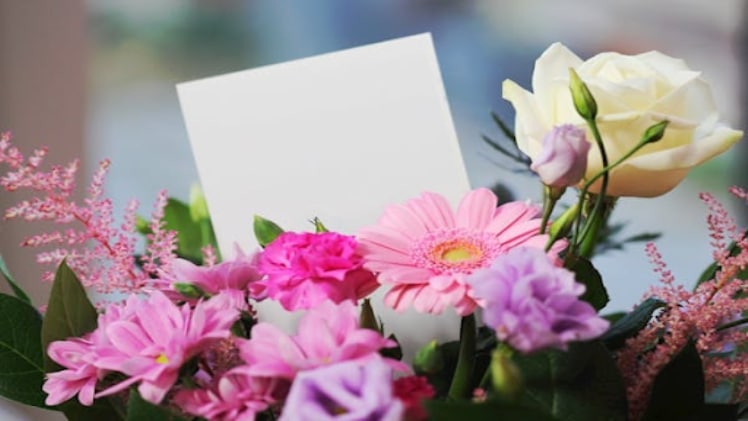 Exploring Budget Friendly Flower Choices in Singapores Cityscapev