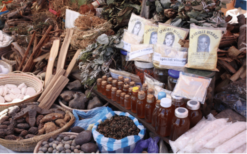 Traditional Herbal Medicine in Vietnam Ancient Remedies To