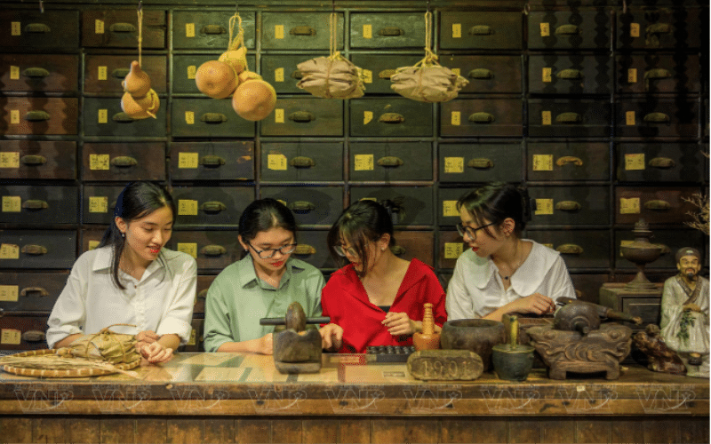 Traditional Herbal Medicine in Vietnam Ancient Remedies Toda
