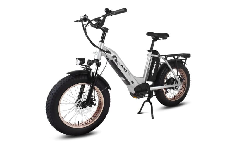 Why are ebikes getting fame in 20241