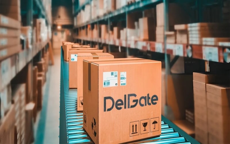 Strategies for Efficient Last Mile Delivery Solutions2