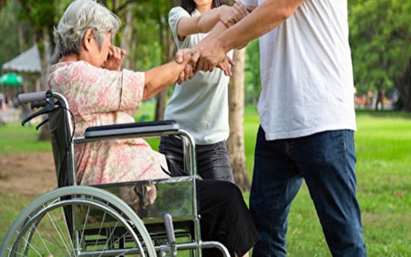The Role of Structured Family Caregiving in Enhancing Elderly Support1